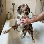 JOSHKAS Pet Bath Brush – Shampoo Dispenser &amp; Massage Brush