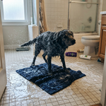 JOSHKAS Pet Bath Brush – Shampoo Dispenser &amp; Massage Brush